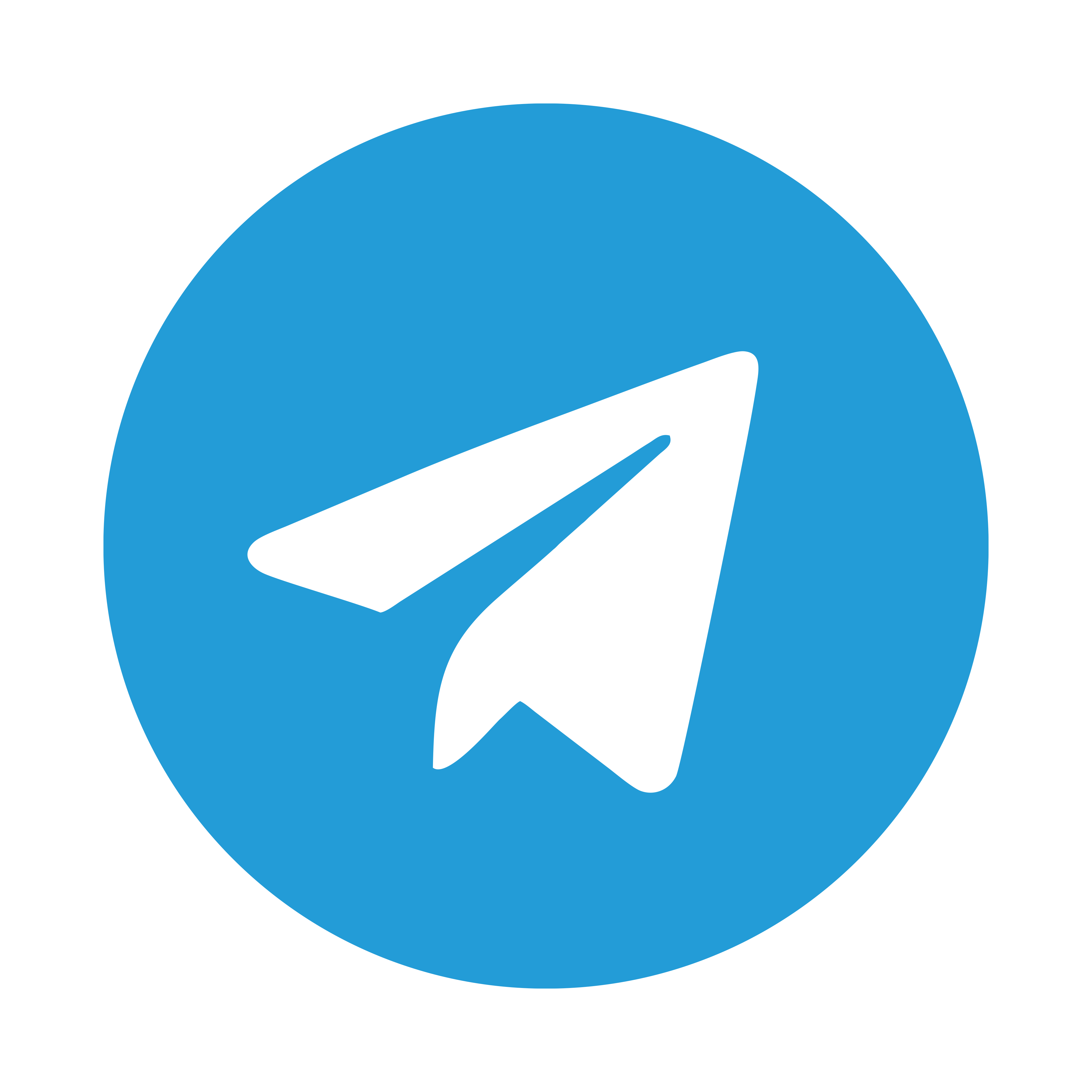 telegram